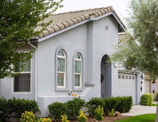 Painted and Stucco Surfaces